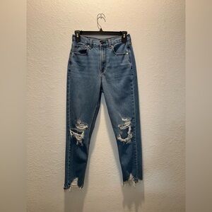 AE Blue Distressed Mom Jeans